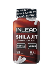 Inlead Shilajit