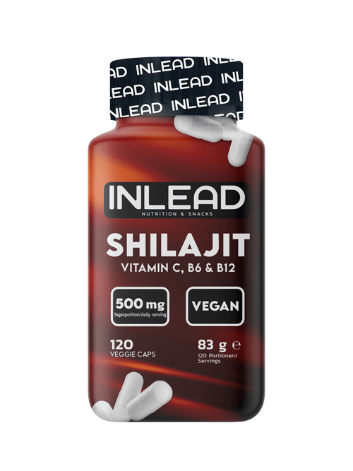 Inlead Shilajit