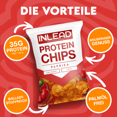 Inlead Protein Chips - [6er Karton] 6 x 50 g Sour Cream & Onion