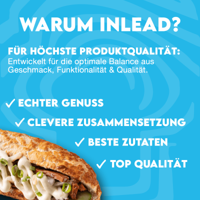 Inlead Premium Sauce 350ml Holland Mayo Style